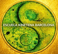 ESCUEAL KINETENA   TERAPIAS ALTERNATIVAS   ACUPUNTURA   MASAJE TUINA  MEDICINA TRADICIONAL CHINA.    CURSOS KOBIDO JAPONÉS  LIFTING INTRABUCAL