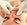 CURSOS LIFTING INTRABUCAL - INTRAORAL  BARCELONA - DOBLE LIFTING FACIAL BARCELONA ESPAÑA